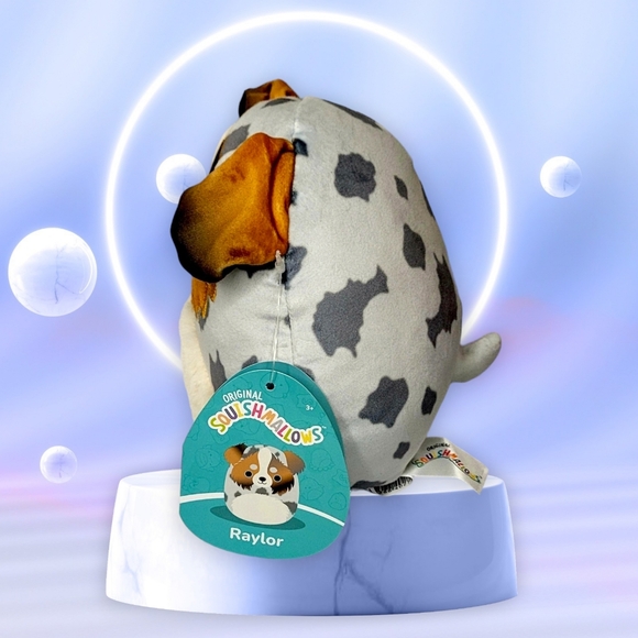 🔴CLOSING / FINAL PRICE RAYLOR 7" Australian Sheppard Dog Squishmallows - Picture 3 of 8